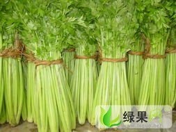 山东禹城美国加州王：市中街孟先生