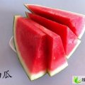 湖北钟祥市伍庙黑皮无籽、花瓜