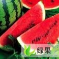 内蒙古赤峰市长花瓜瓜：李学武
