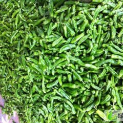 江苏三仓镇青椒 大量上市价格1.2