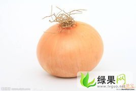 甘肃肃州黄皮洋葱：下河清潘娜