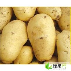 河北围场荷兰十五：（王国智)