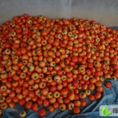 山东莱西百王：店埠镇李建