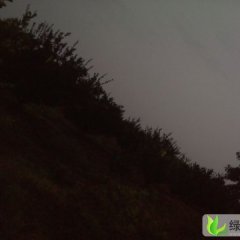 江西金溪南丰蜜桔：陈坊积吴文明