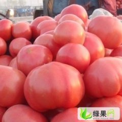 江苏沛县硬粉：河口镇周亚