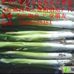 黑龙江绥化西瓜