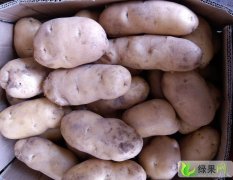 河南开封土豆每斤0.5元。