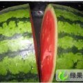 安徽谯城龙卷风：张店乡李蒙