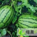 内蒙古鄂托克前旗金城5号：城川镇胡先生