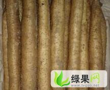 山东岱岳白玉山药：范缜王刘老师