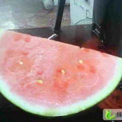 黑龙江饶河奥霸7：大通河石伟东