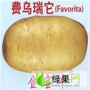 内蒙古牙克石荷兰七号：基地张忠强