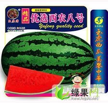 甘肃山丹西农八号：联系人刘生