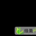 供应菏泽东明地雷西瓜大量批发