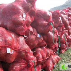河北藁城红皮洋葱：石家庄雷双龙