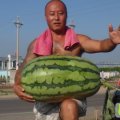 内蒙古库伦旗冠龙：六家子李永江