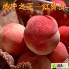 河北饶阳红岗山.绿化久：河北省艾世杰