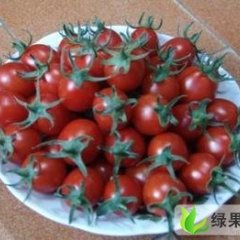 山东东阿圣女：黄屯张阿荣