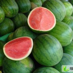 黑龙江大同花皮无籽：附近周先生