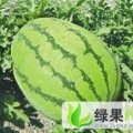 内蒙古库伦旗冠龙：六家子大伟