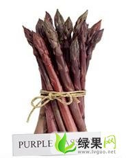 北京甜紫芦笋种子：中关村贾先生