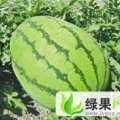 内蒙古库伦旗金城5号：六家子张小权