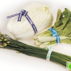 江苏丹徒 富生韭菜：镇荣公阙小姐