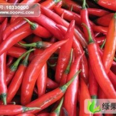 山东金乡金塔：鸡黍镇申玉坤