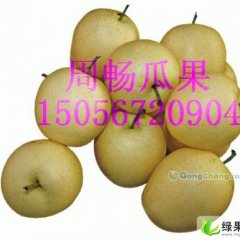 安徽砀山各种酥梨，皇冠梨。