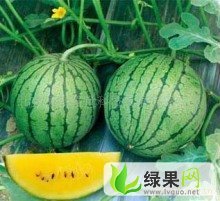 浙江椒江特小凤：下陈柯小姐