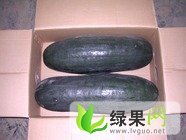 河南通许子弹头黑皮冬瓜：万寨村万雷刚