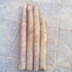 河北大名白玉山药：大名府贾纪华