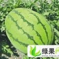 内蒙通辽库伦旗，六家子，小祖