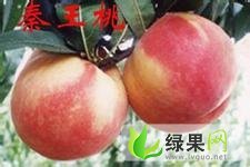 陕西大荔秦王桃：双泉镇李铁牛