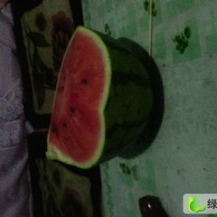 甘肃省张掖市甘州区南关蔬菜果品批发市场王荣供应