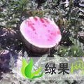 吉林长岭地雷瓜：长岭县郭天琪