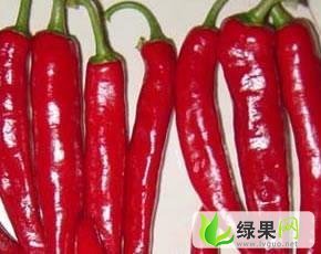 山东金乡金塔：鸡黍镇周云云