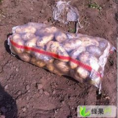 河北围场荷兰十五：宝元栈郭旭雯