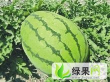 内蒙古翁牛特旗冠龙：桥头镇靜永峰