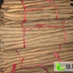 山东定陶陈集山药：陈集镇何晓升