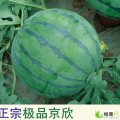 吉林大安京欣：联合乡曲士明