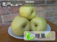 安徽砀山酥梨大量供应