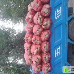 河北围场克新一号：新地乡温先生