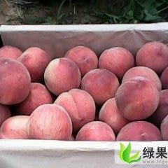陕西大荔200-1：两宜镇惠增华
