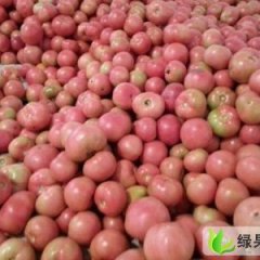 湖北夷陵欧盾.黛粉：殷家坪村