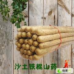 河南沈丘九斤黄山药：腾营杨俊
