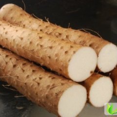 河南沈丘九斤黄山药7月上市等待上市