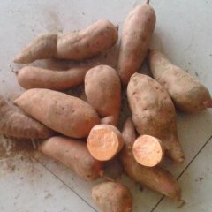 河北枣强龙署九号：衡水市刘廷涛