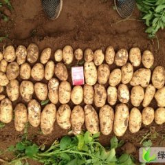 内蒙古锡林浩特夏波蒂：巿价赵志刚