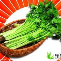 山东香芹：蔬菜合邓俊胜